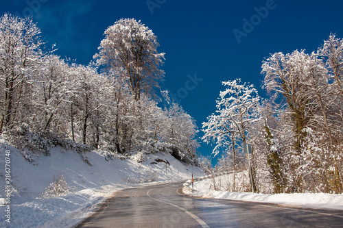 winter landscape with road and trees
