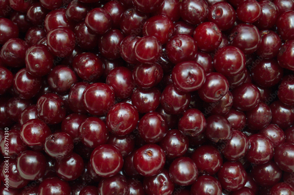 Lots of cherries.Background.Photo.Texture. Lots of cherries.Background.Photo.Texture.