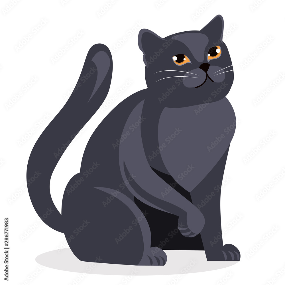 British cat big gray straight with yellow eyes on a white background. vector illustration British cat big gray straight with yellow eyes on a white background. vector illustration