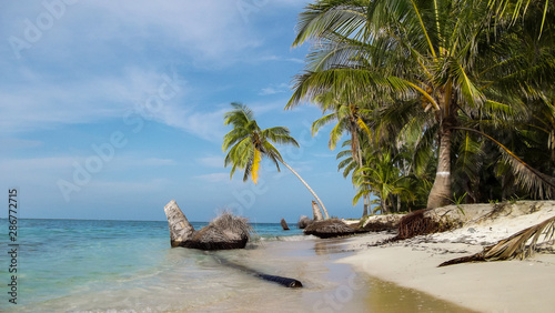 Paradise beach landscapes with palm trees on white sand islands