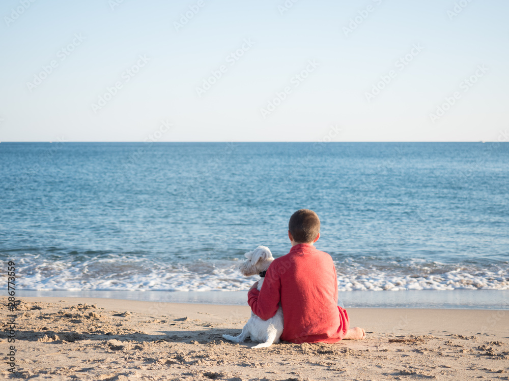 Happy little child boy is playing with dog schnauzer mini view the sea