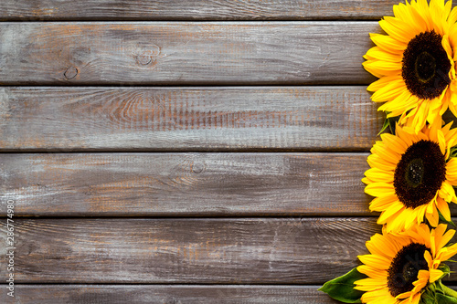 Frame of sunflowers on wooden background top view mockup