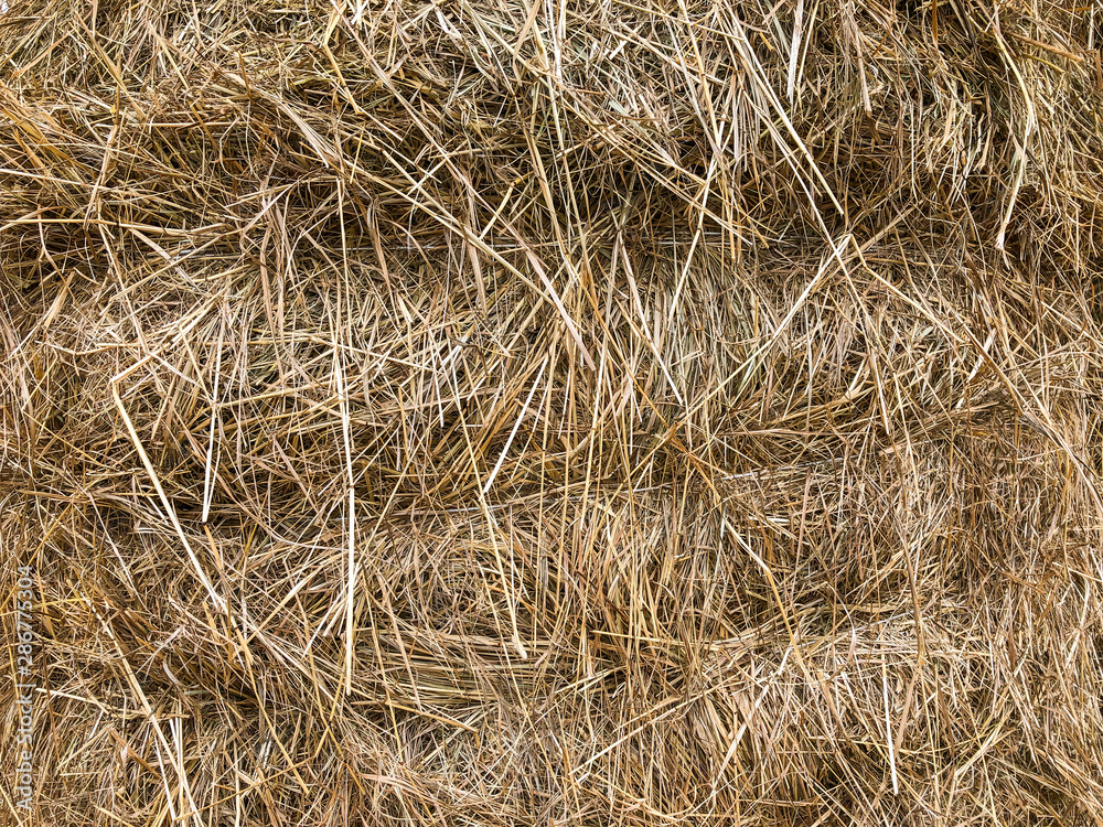 Hay background. Hay in the village closeup texture Hay background. Hay in the village closeup texture