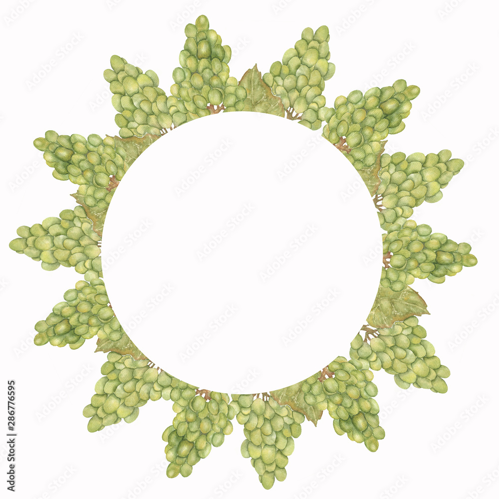 Beautiful Watercolor Hand drawn grapes wreath in green and yellow colors. Beautiful Watercolor Hand drawn grapes wreath in green and yellow colors.