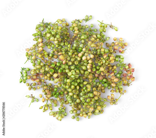 fresh coriander seeds isolated on white background. top view