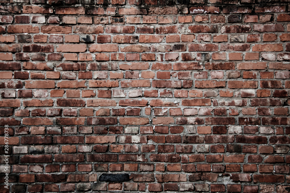 Obraz premium A grungy brick wall texture