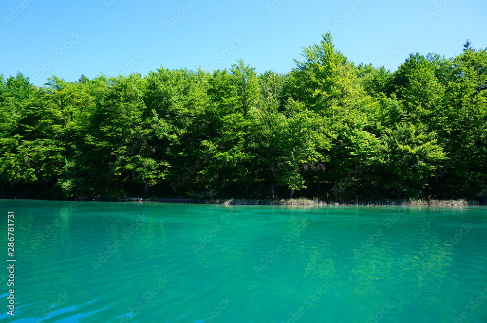 Obraz premium Plitvice Lakes National Park