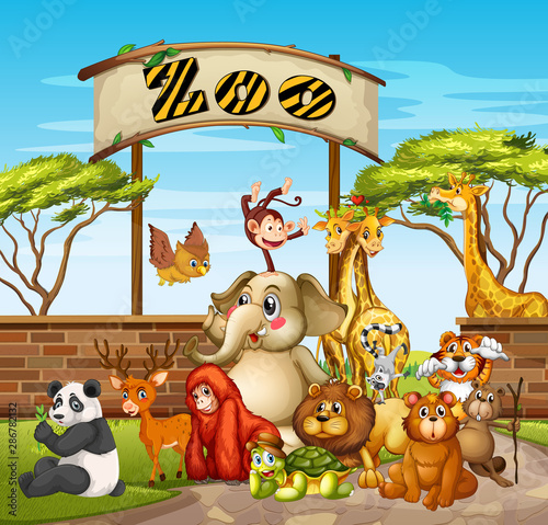 Many animals at the zoo