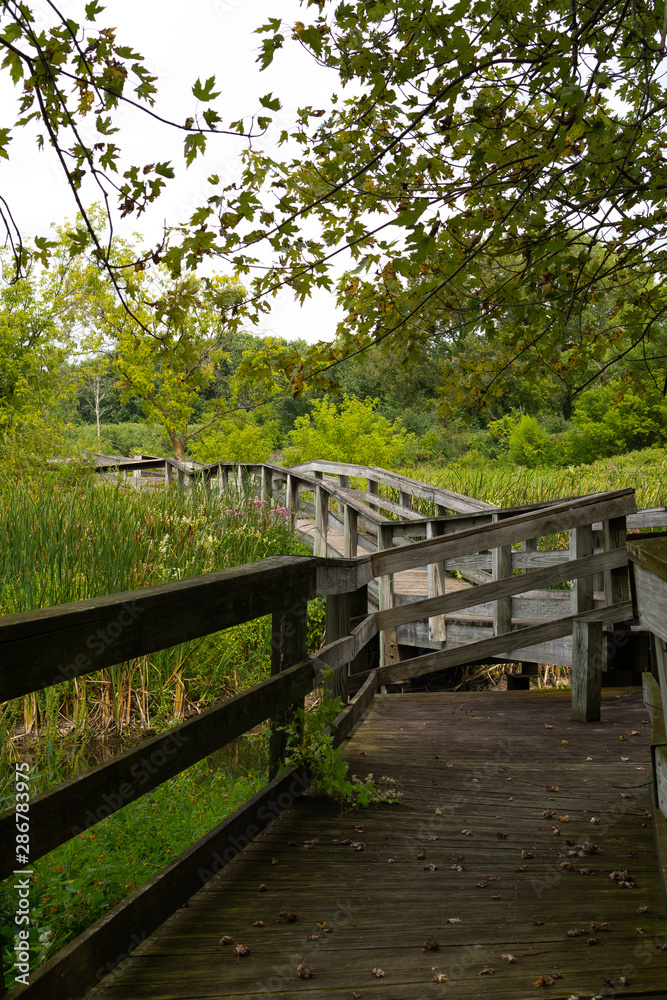 Wooden walkway