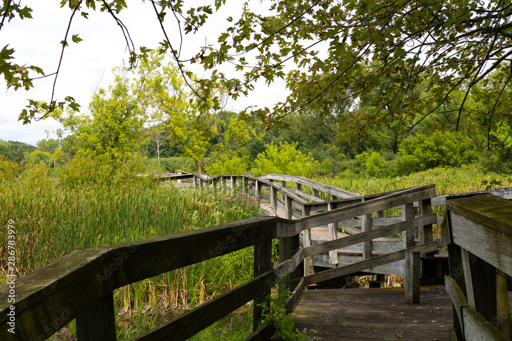 Wooden walkway