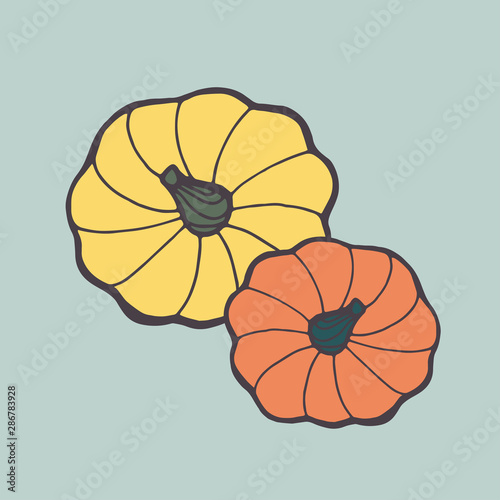 Pumpkin icon, Harvest Thanksgiving line vector illustration