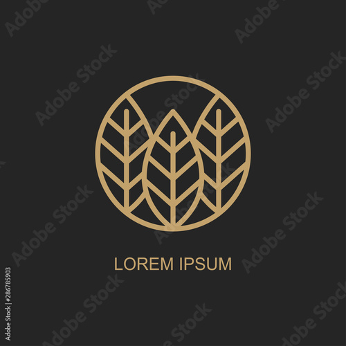 abstract leaves logo design templates. vector emblem