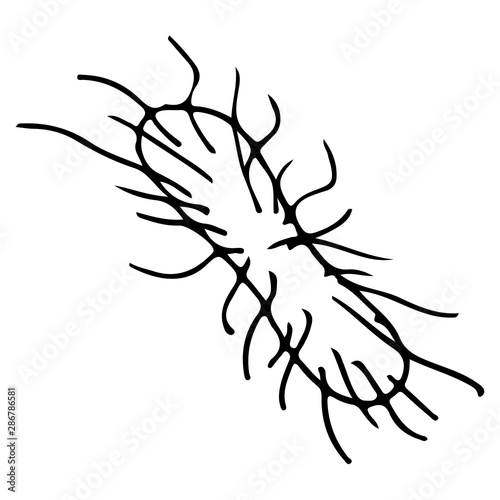 Outline microbe vector icon. Isolated black simple line element illustration from a medical concept. Editable vector stroke microbe. Virus icon. Hand drawn illustration. Virus, bacteria.