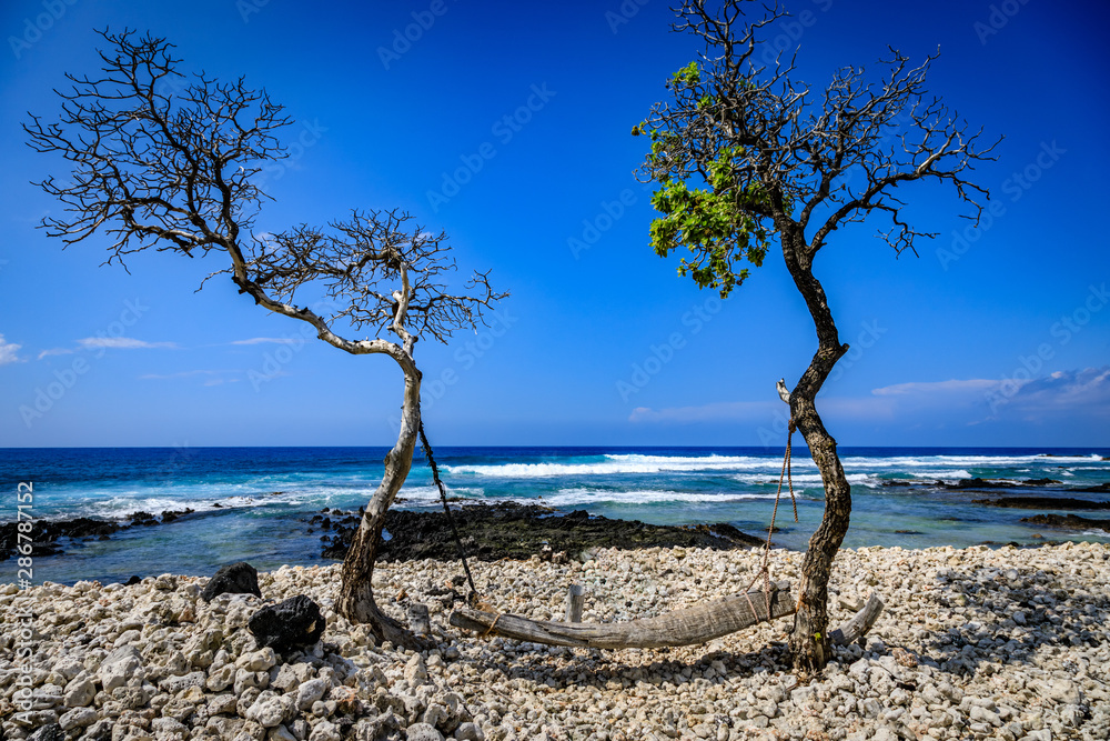 A piece of driftwood is used as a swing looking out over the ocean on a clear day in Hawaii A piece of driftwood is used as a swing looking out over the ocean on a clear day in Hawaii
