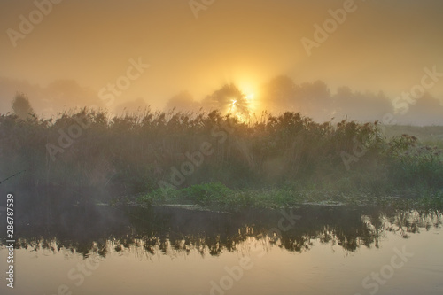 Orange sunrise over river surface with fog. River landscape in summer morning