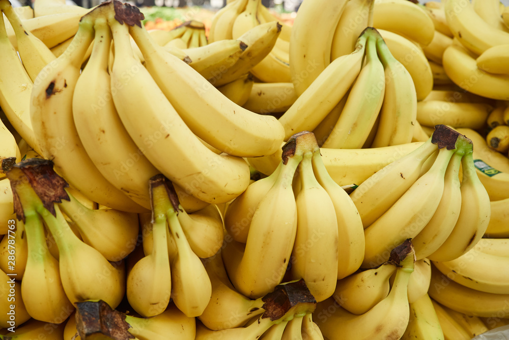bunch of bananas for sale in a supermarket bunch of bananas for sale in a supermarket