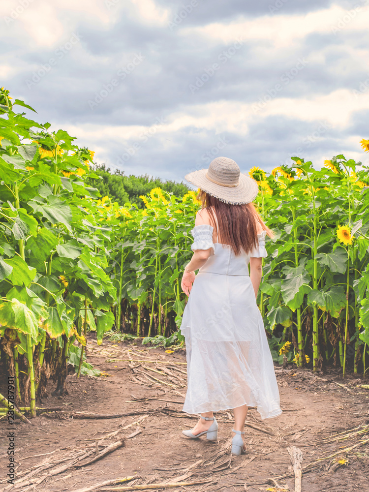 A young oriental girl with long hair and white dress in a field of sunflowers