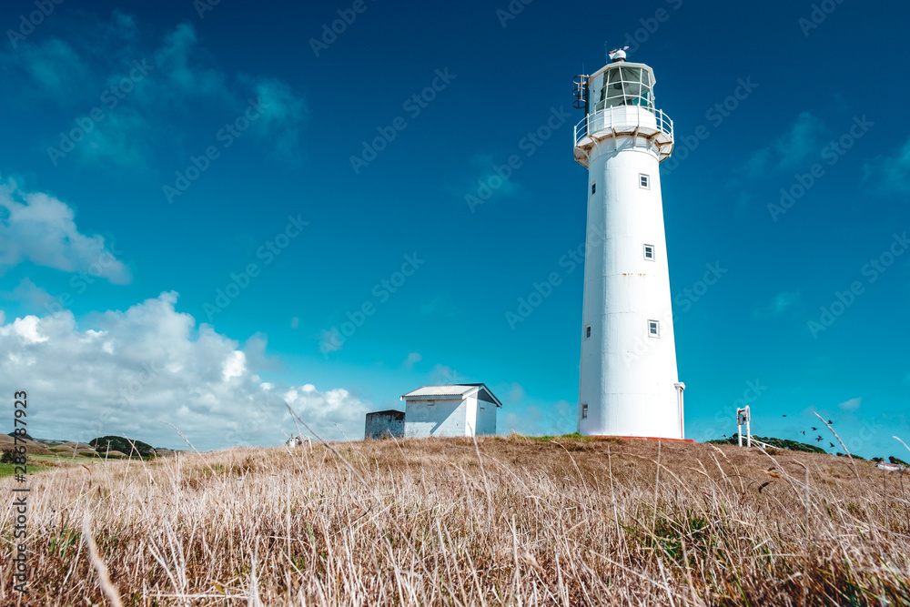 A beautiful tall white Cape Egmont Lighthouse.