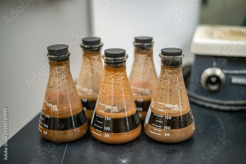 Dirty Erlenmeyer Flasks with Dark Soil Texture Samples