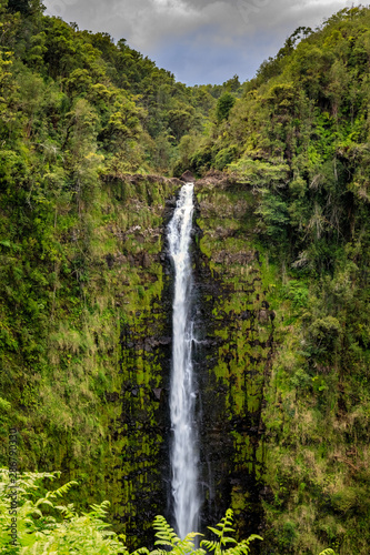 Tall waterfall over a sheer cliff is surrounded by lush green jungle in the Hawaii Tropical Botanical Garden on the Big Island of Hawaii