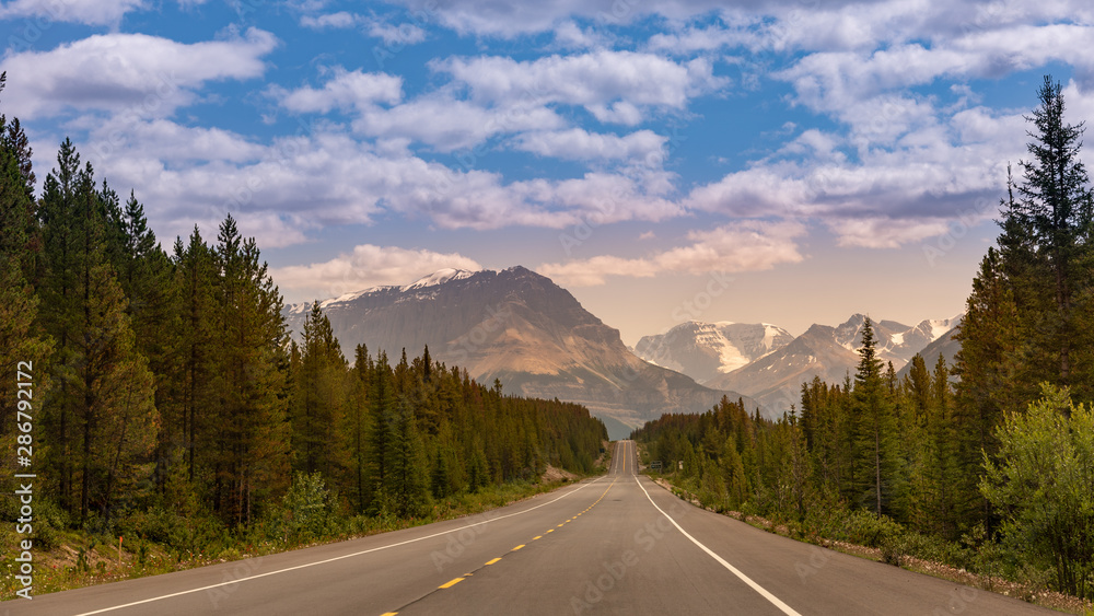 On the road in the forest, Banff national park, Canada On the road in the forest, Banff national park, Canada