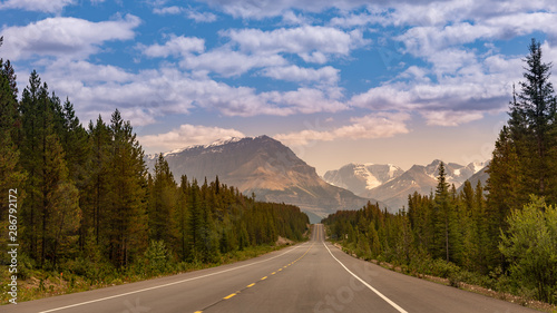 On the road in the forest, Banff national park, Canada