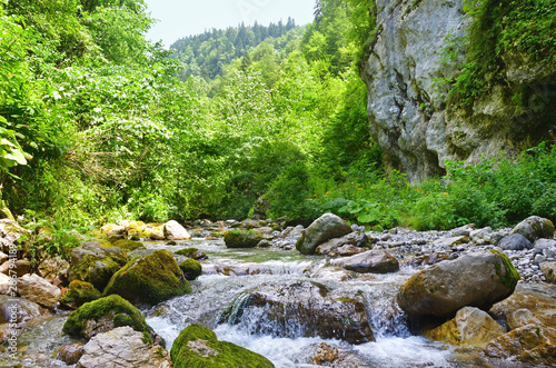 Abkhazia  mountain river in the gorge Tsandripsh in the summer in cloudy day