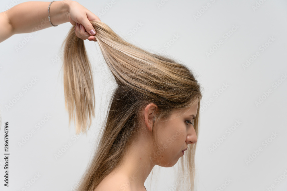 Naklejka premium A photo of a hairdresser working on a model's hair in a studio. Makes a hairstyle, styling hair on a white background.