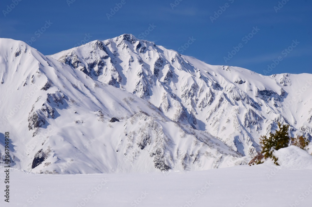 北アルプス 白馬岳　冬景色