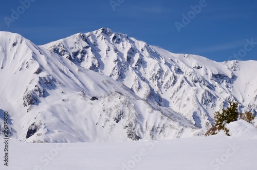 北アルプス 白馬岳　冬景色 © sada