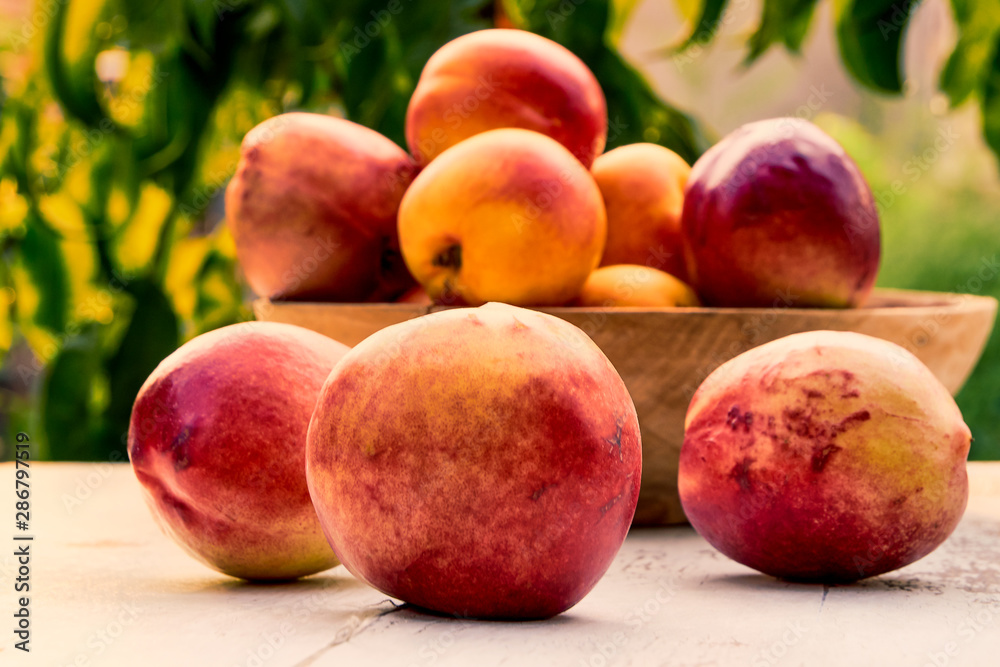 Ripe peaches with leaves on an old wooden table on a background of green leaves in the garden. Soft selective focus Ripe peaches with leaves on an old wooden table on a background of green leaves in the garden. Soft selective focus