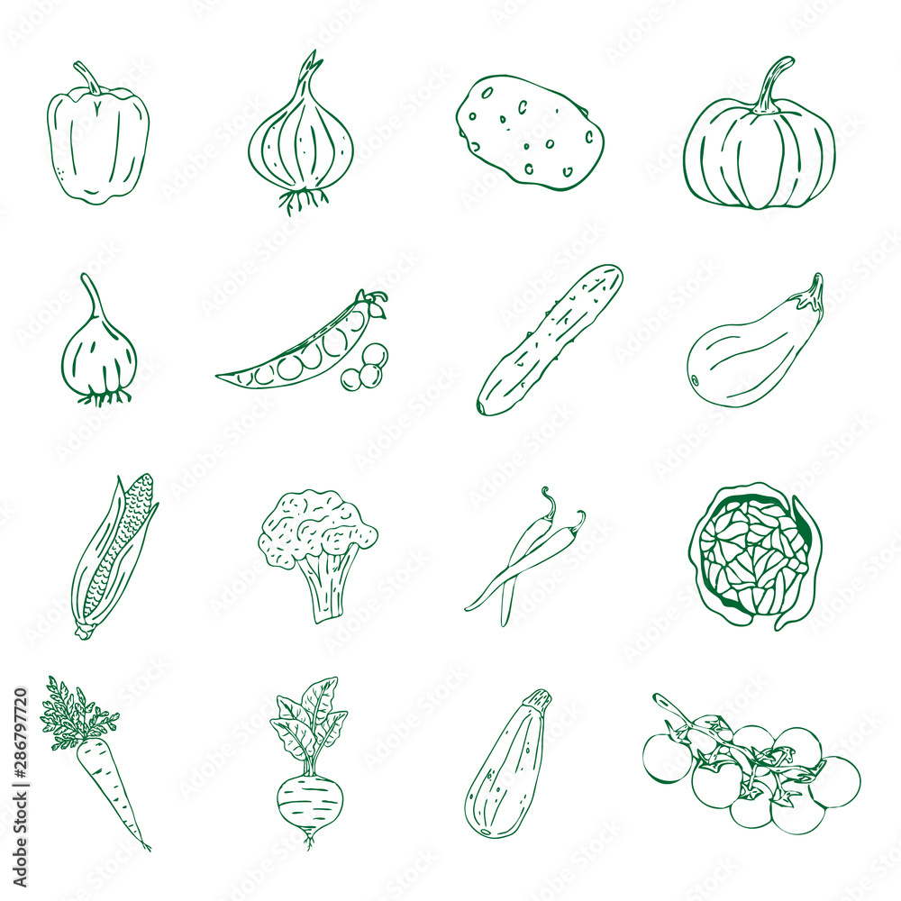 Set of various hand drawn vegetables. Sketches of different food. Isolated on white. Vector.