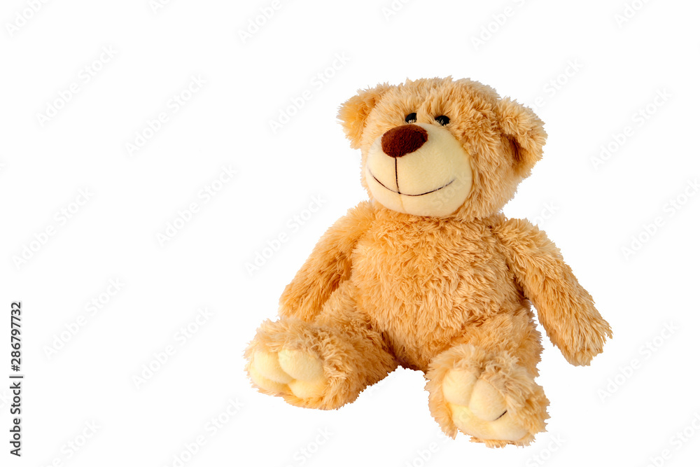 Fototapeta premium Teddy Bear White Background ,soft toy bear isolated on white background