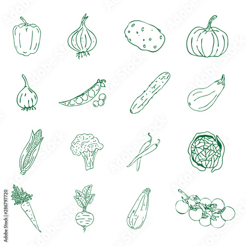 Set of various hand drawn vegetables. Sketches of different food. Isolated on white. Vector.