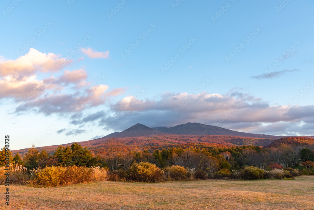 Autumn foliage scenery in Kayano-Kogen plateau, Aomori, Japan. Hakkoda Mountains on background bathed in different hues of red, orange, golden colors. Beautiful landscapes of magnificent fall colours