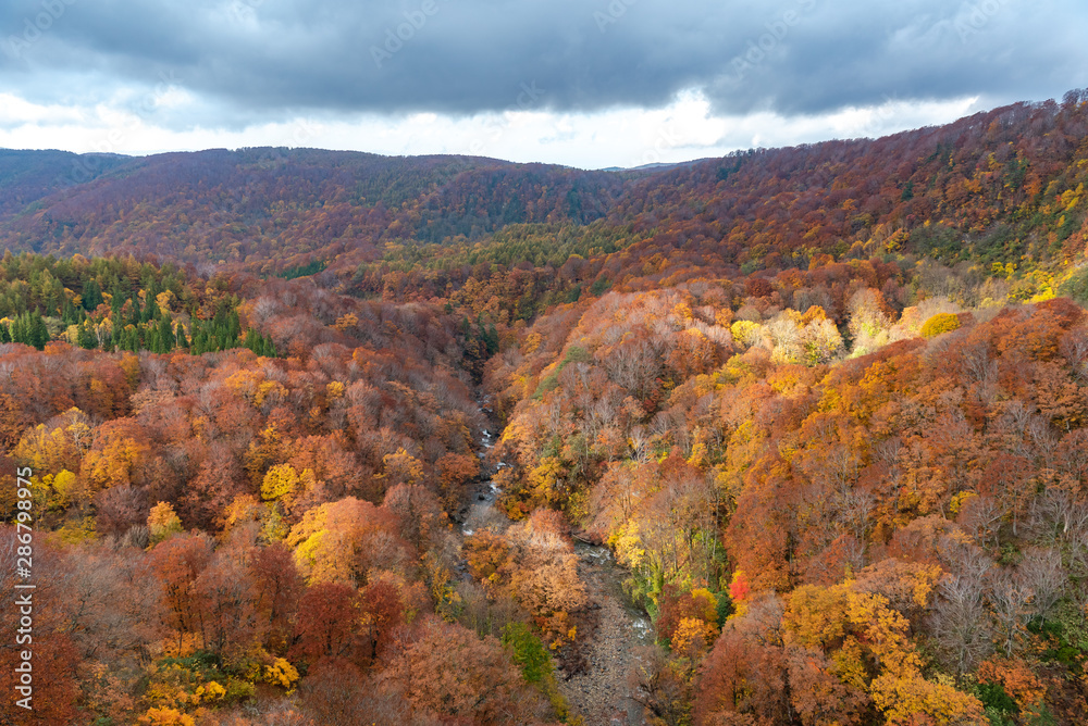 Autumn foliage scenery view, beautiful landscapes. Fall is full of magnificent colours. Entire mountain and valley is bathed in different hues of red, orange and golden colors background