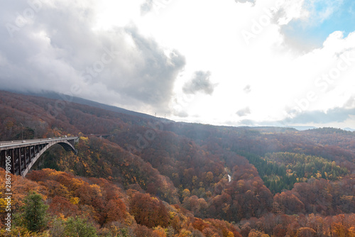 Jogakura Ohashi Bridge view during autumn foliage season. Colorful trees on mountains and valley with red, orange, and golden colors foliage. Towada hachimantai National Park, Aomori Prefecture, Japan photo