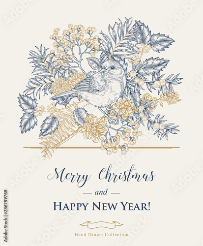 Christmas card with a bird and winter plants. Hand drawn tit, holly, pine branch, and elderberry. Vector illustration. Vintage engraving style.
