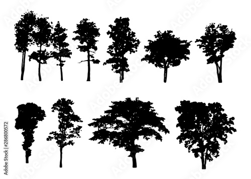  isolated of trees on the white background.Trees silhouette.Vector EPS 10.