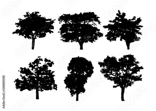  isolated of trees on the white background.Trees silhouette.Vector EPS 10.