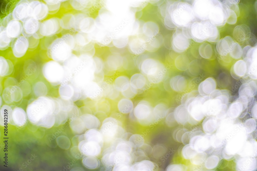 Obraz premium Green bokeh on nature background, green bokeh abstract