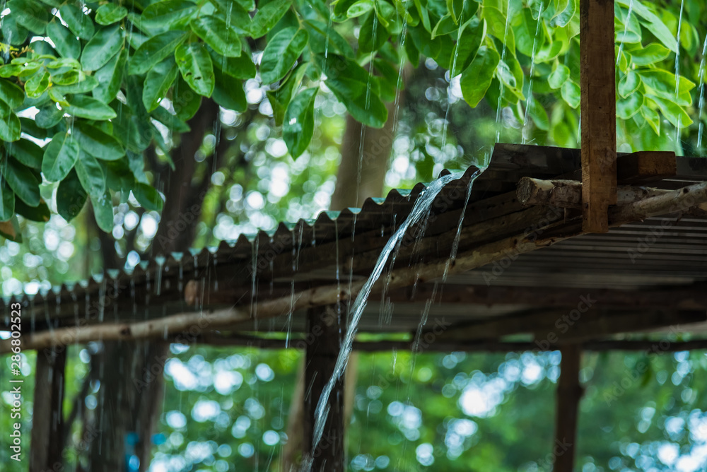 Obraz premium Rain storm with metal sheet roof,rainwater flows down the roof.