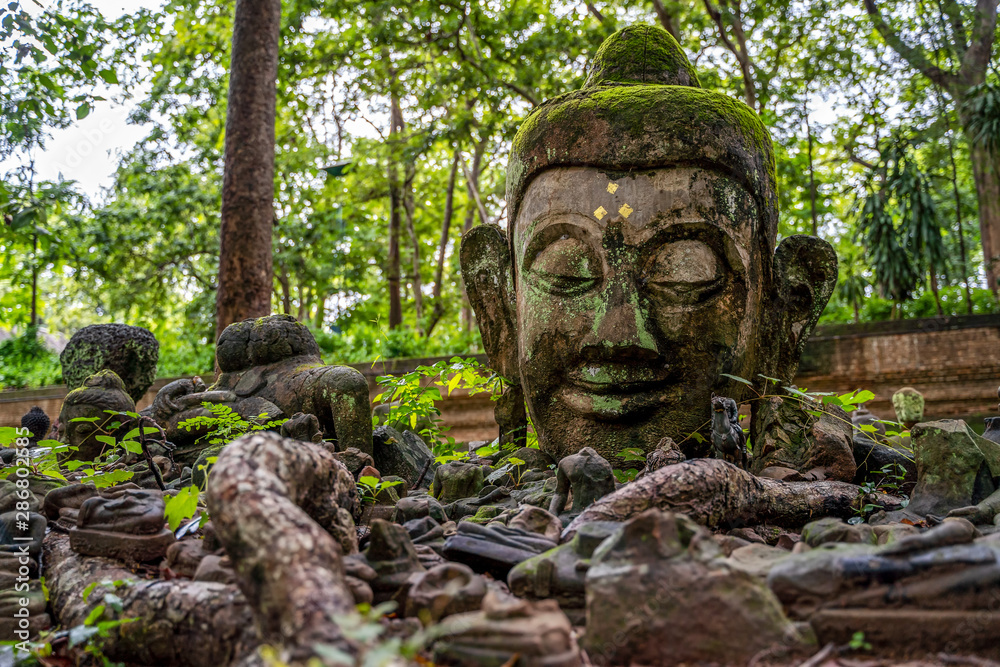 Sculpture of Stone Head Buddha in an ancient temple