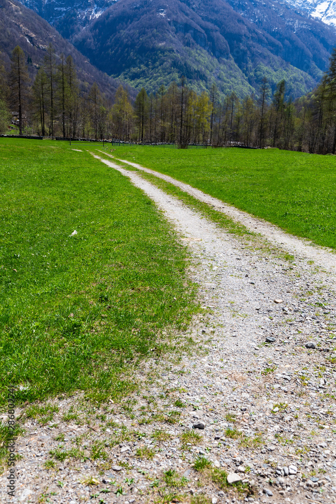 Obraz premium Road and mountain in valley of Sonogno in Locarno Ticino Switzerland