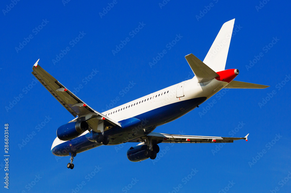 Obraz premium passenger airliner