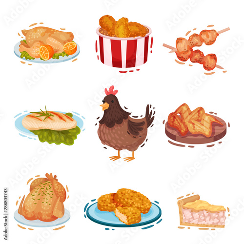 Set of chicken dishes. Vector illustration on a white background.