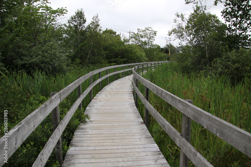 A wooden boardwalk with rails going through a field