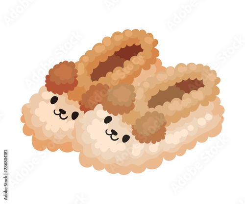 Warm indoor slippers. Vector illustration on a white background.