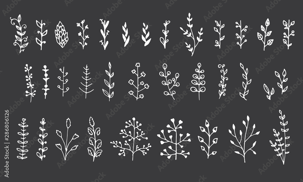 Collection of floral elements isolated on black background. Hand drawn leaves for your design. Collection of floral elements isolated on black background. Hand drawn leaves for your design.