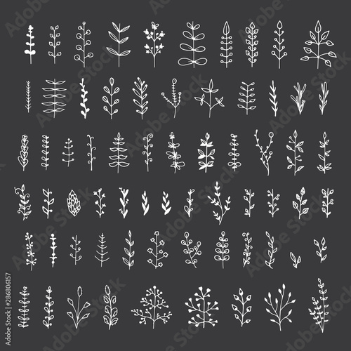 Big collection of floral elements isolated on black background. Hand drawn leaves for your design.